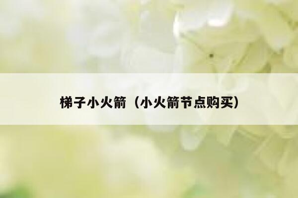 梯子小火箭（小火箭节点购买） 第1张