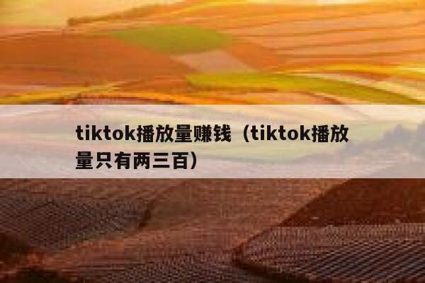 tiktok播放量赚钱(tiktok播放量只有两三百) 第1张 tiktok播放量赚钱(tiktok播放量只有两三百) 第1张