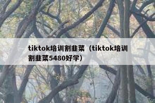 tiktok培训割韭菜(tiktok培训割韭菜5480好学) 第1张 tiktok培训割韭菜(tiktok培训割韭菜5480好学) 第1张