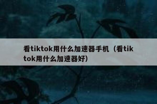 看tiktok用什么加速器手机（看tiktok用什么加速器好） 第1张