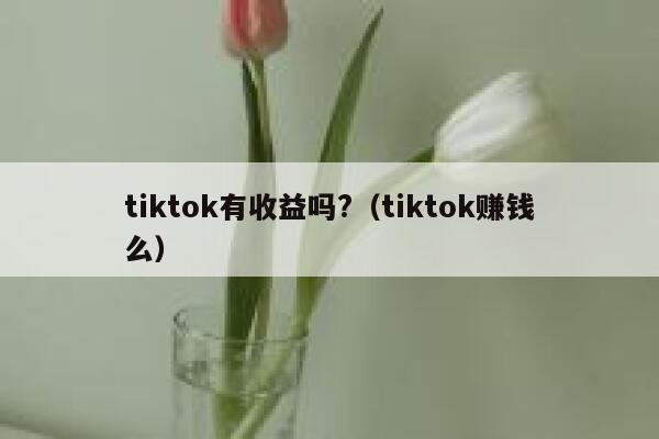 tiktok有收益吗?（tiktok赚钱么） 第1张