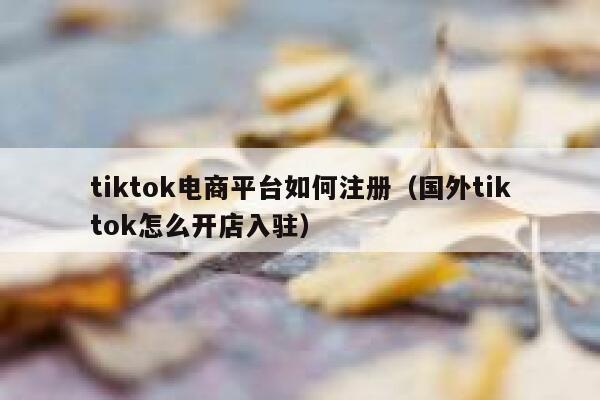 tiktok电商平台如何注册(国外tiktok怎么开店入驻) 第1张 tiktok电商平台如何注册(国外tiktok怎么开店入驻) 第1张