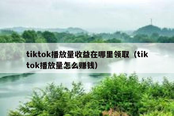 tiktok播放量收益在哪里领取(tiktok播放量怎么赚钱) 第1张 tiktok播放量收益在哪里领取(tiktok播放量怎么赚钱) 第1张