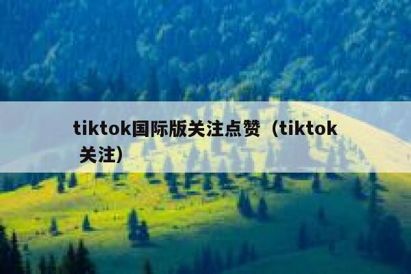 tiktok国际版关注点赞（tiktok 关注） 第1张