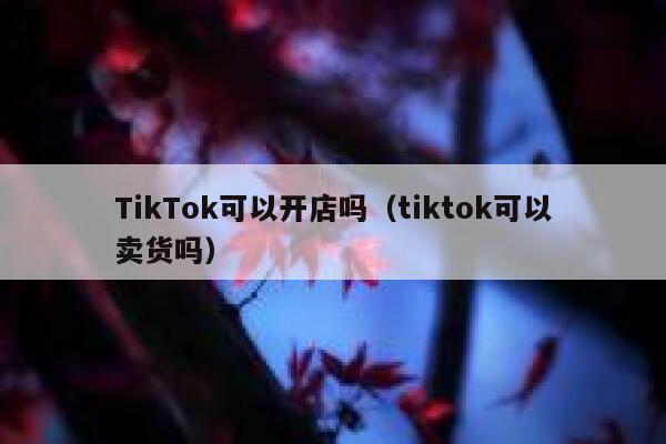 TikTok可以开店吗（tiktok可以卖货吗） 第1张