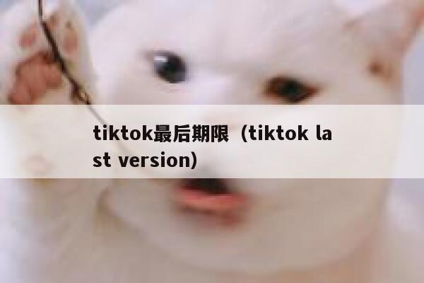 tiktok最后期限（tiktok last version） 第1张
