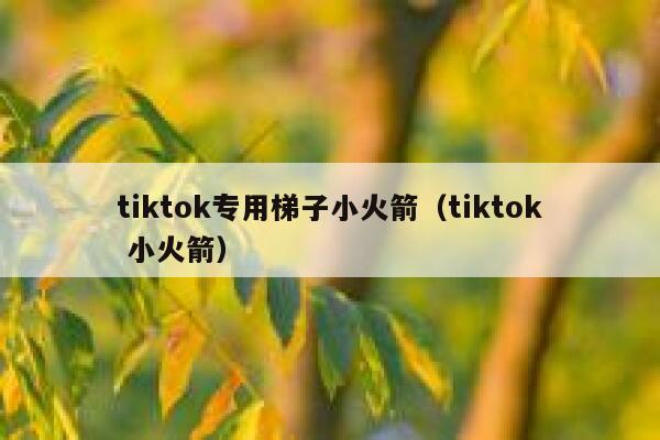 tiktok专用梯子小火箭（tiktok 小火箭） 第1张
