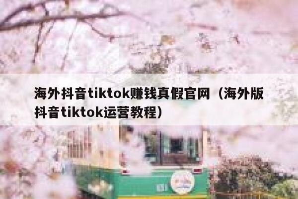 海外抖音tiktok赚钱真假官网（海外版抖音tiktok运营教程） 第1张