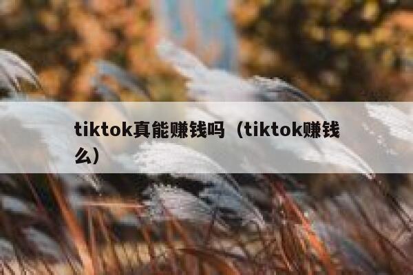 tiktok真能赚钱吗（tiktok赚钱么） 第1张
