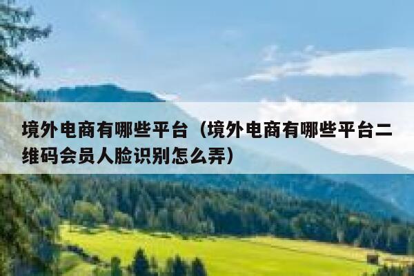 境外电商有哪些平台（境外电商有哪些平台二维码会员人脸识别怎么弄） 第1张