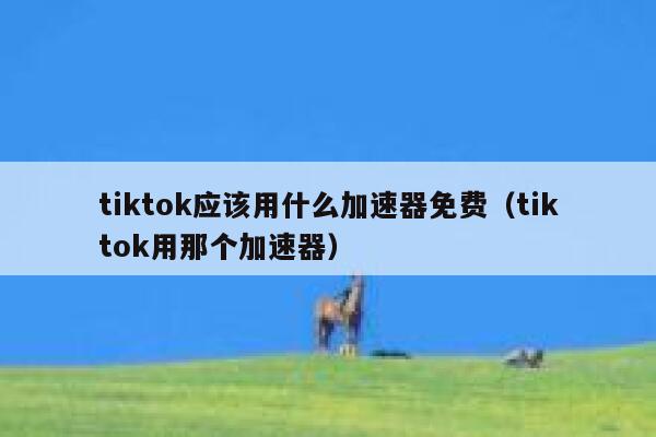tiktok应该用什么加速器免费（tiktok用那个加速器） 第1张