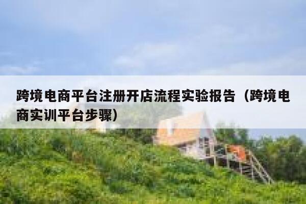 跨境电商平台注册开店流程实验报告（跨境电商实训平台步骤） 第1张