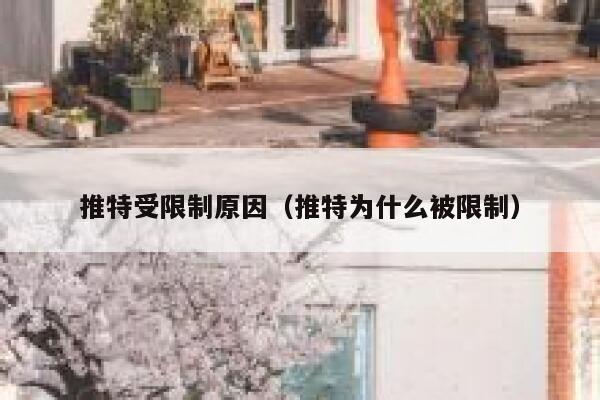 推特受限制原因（推特为什么被限制） 第1张
