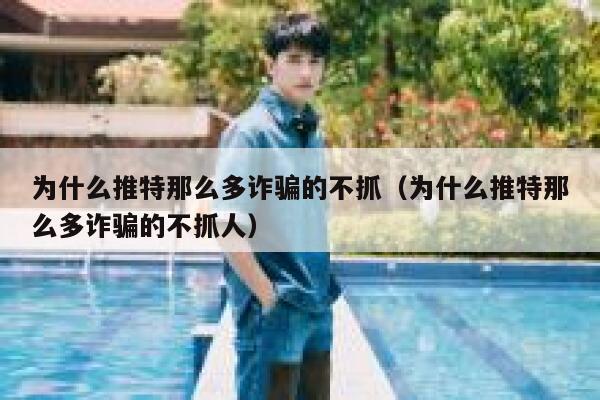 为什么推特那么多诈骗的不抓（为什么推特那么多诈骗的不抓人） 第1张
