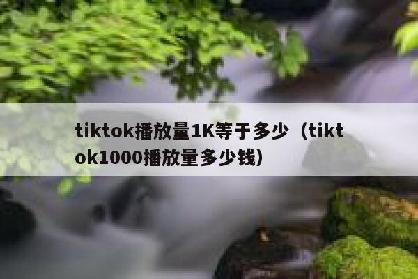 tiktok播放量1K等于多少（tiktok1000播放量多少钱） 第1张
