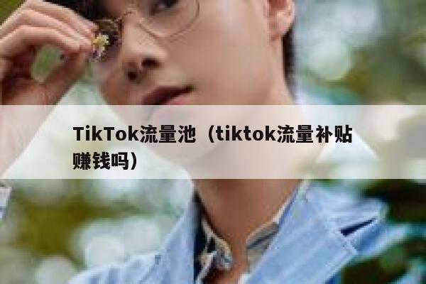 TikTok流量池（tiktok流量补贴赚钱吗） 第1张