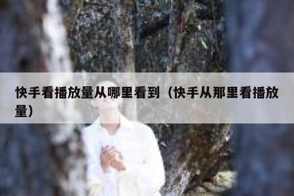快手看播放量从哪里看到（快手从那里看播放量） 第1张