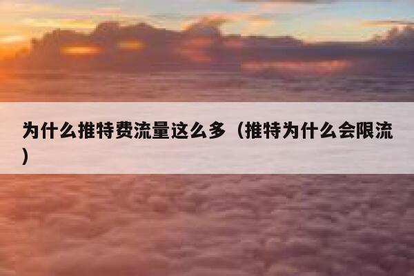 为什么推特费流量这么多（推特为什么会限流） 第1张