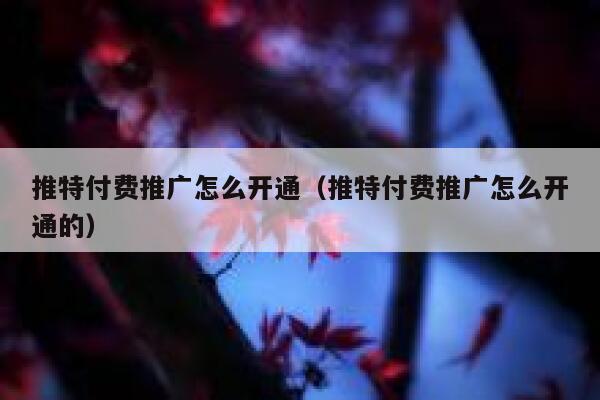 推特付费推广怎么开通（推特付费推广怎么开通的） 第1张