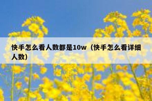 快手怎么看人数都是10w（快手怎么看详细人数） 第1张