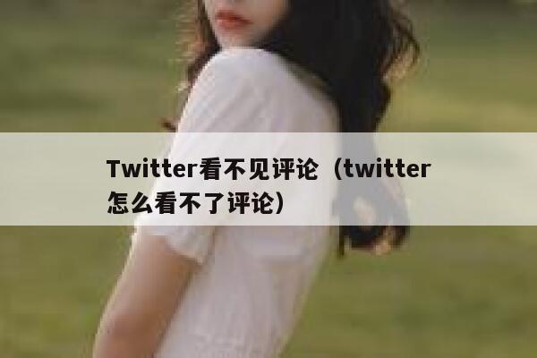 Twitter看不见评论（twitter怎么看不了评论） 第1张
