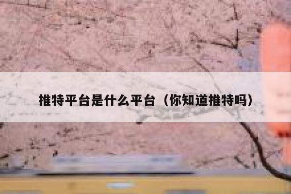 推特平台是什么平台（你知道推特吗） 第1张