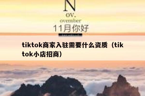tiktok商家入驻需要什么资质（tiktok小店招商） 第1张