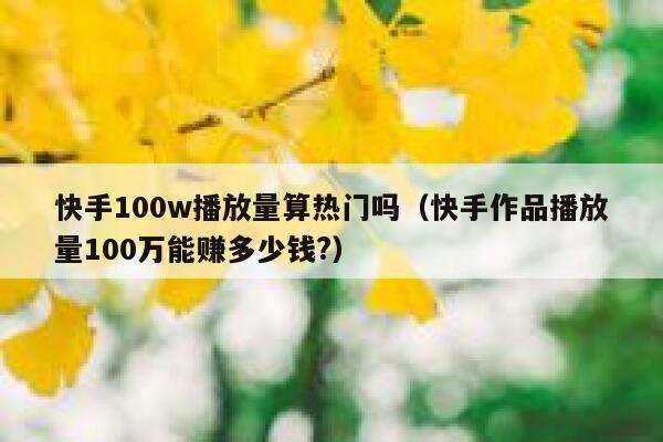 快手100w播放量算热门吗（快手作品播放量100万能赚多少钱?） 第1张