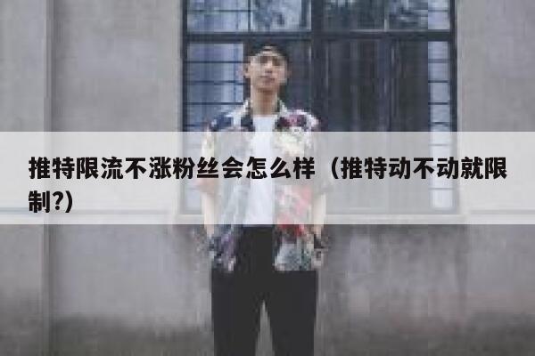 推特限流不涨粉丝会怎么样（推特动不动就限制?） 第1张