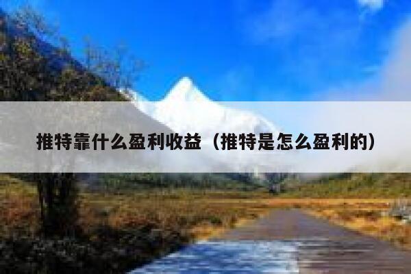 推特靠什么盈利收益（推特是怎么盈利的） 第1张