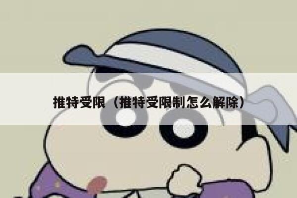 推特受限（推特受限制怎么解除） 第1张