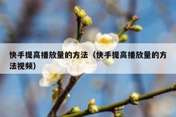 快手提高播放量的方法（快手提高播放量的方法视频） 第1张