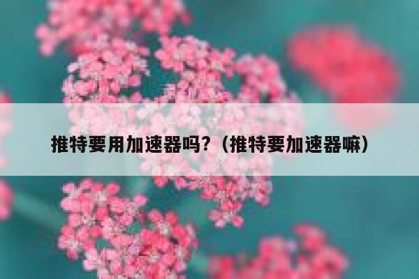 推特要用加速器吗?（推特要加速器嘛） 第1张