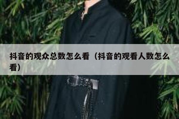 抖音的观众总数怎么看（抖音的观看人数怎么看） 第1张