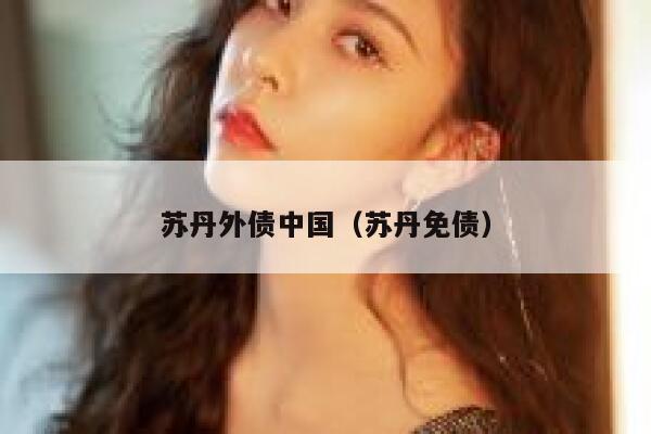 苏丹外债中国（苏丹免债） 第1张