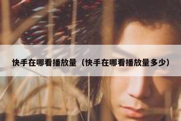 快手在哪看播放量（快手在哪看播放量多少） 第1张