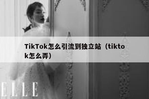 TikTok怎么引流到独立站(tiktok怎么弄) 第1张 TikTok怎么引流到独立站(tiktok怎么弄) 第1张