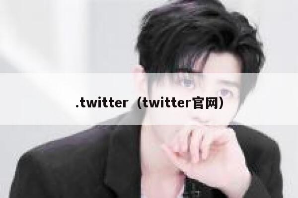 .twitter(twitter官网) 第1张 .twitter(twitter官网) 第1张