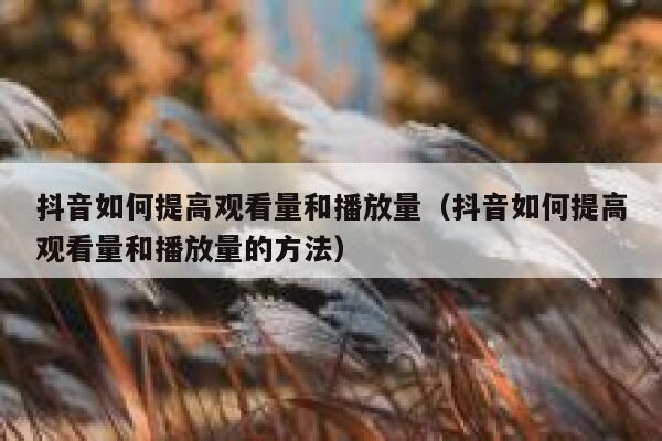 抖音如何提高观看量和播放量(抖音如何提高观看量和播放量的方法) 第1张 抖音如何提高观看量和播放量(抖音如何提高观看量和播放量的方法) 第1张
