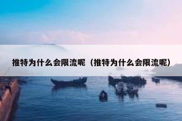 推特为什么会限流呢(推特为什么会限流呢) 第1张 推特为什么会限流呢(推特为什么会限流呢) 第1张