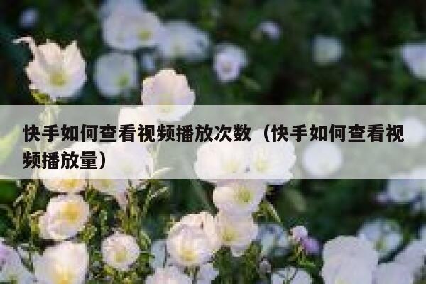 快手如何查看视频播放次数（快手如何查看视频播放量） 第1张