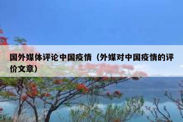 国外媒体评论中国疫情（外媒对中国疫情的评价文章） 第1张