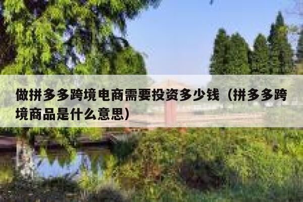做拼多多跨境电商需要投资多少钱（拼多多跨境商品是什么意思） 第1张