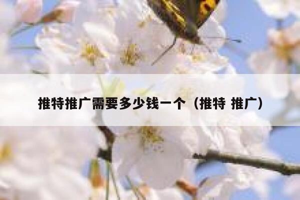 推特推广需要多少钱一个（推特 推广） 第1张