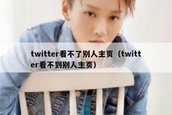 twitter看不了别人主页(twitter看不到别人主页) 第1张 twitter看不了别人主页(twitter看不到别人主页) 第1张