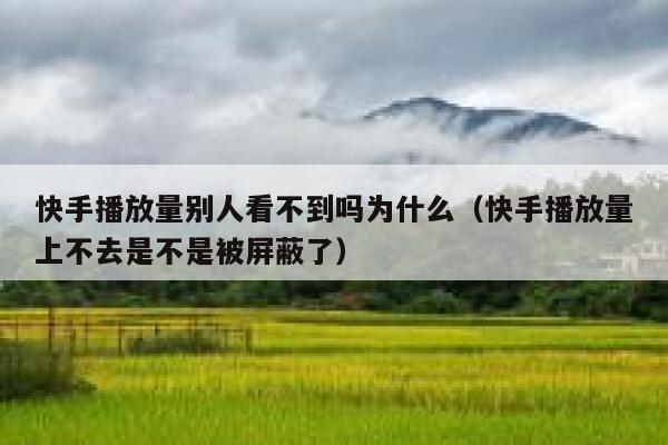 快手播放量别人看不到吗为什么(快手播放量上不去是不是被屏蔽了) 第1张 快手播放量别人看不到吗为什么(快手播放量上不去是不是被屏蔽了) 第1张
