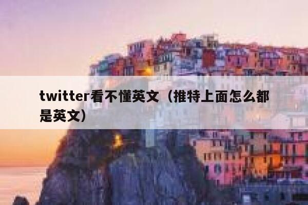 twitter看不懂英文（推特上面怎么都是英文） 第1张