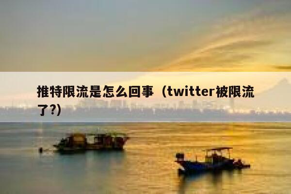 推特限流是怎么回事(twitter被限流了?) 第1张 推特限流是怎么回事(twitter被限流了?) 第1张