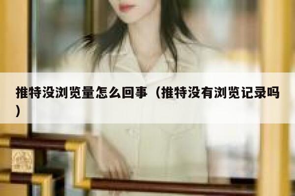 推特没浏览量怎么回事（推特没有浏览记录吗） 第1张