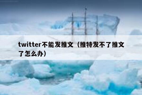 twitter不能发推文（推特发不了推文了怎么办） 第1张